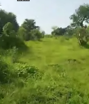 Video: 20 plots of Land for sale in Isuaniocha
