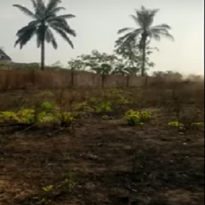 Video: 9 Plots of Land for Sale at Govt House Axis Awka, Anambra State