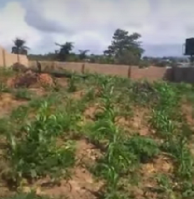 Video: Half plot of Land for Sale at Okpanam Road, Asaba.