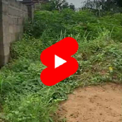 Video: One & half plot of Land at Ngozika Estate for Sale.