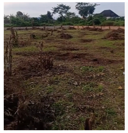 Land for Sale in Benin city